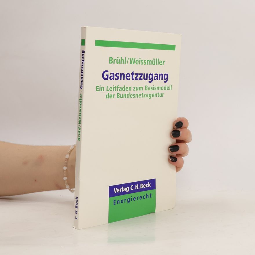 Götz Brühl Gasnetzzugang