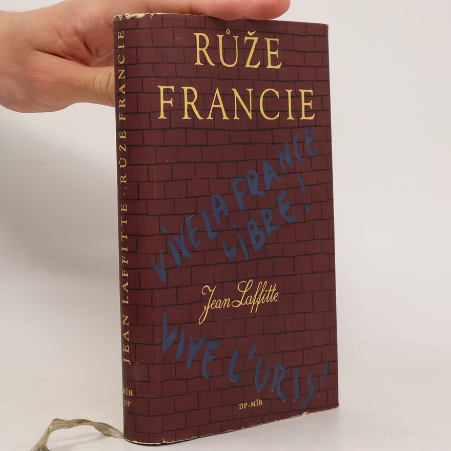 Jean Laffitte Růže Francie