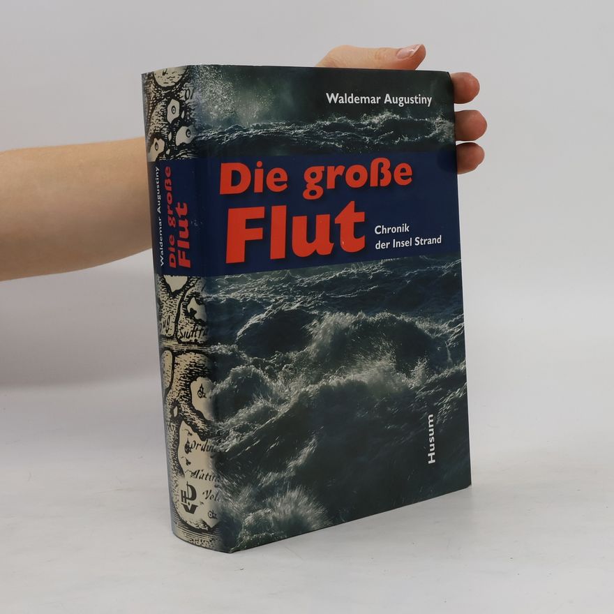 Waldemar Augustiny Die grosse Flut