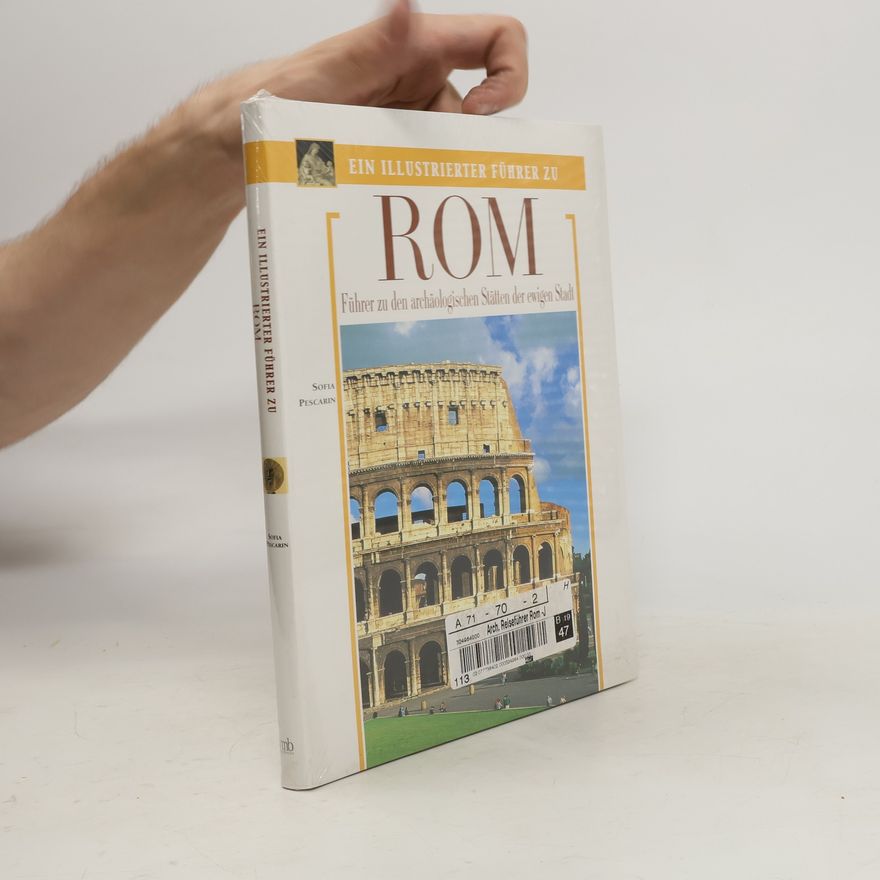 Various authors Ein illustrierter Führer zu ROM