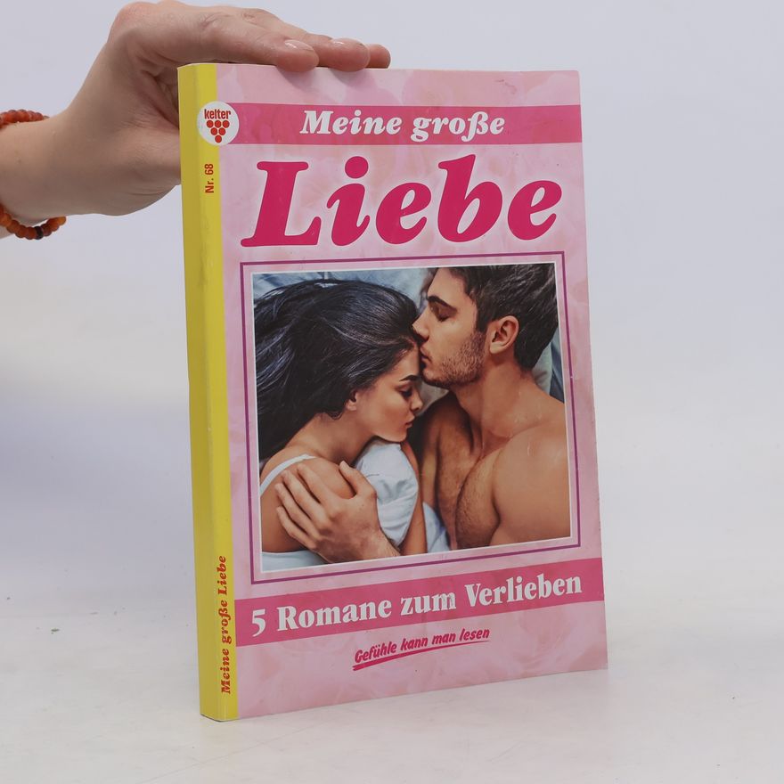 Kolektiv autorů Meine große Liebe