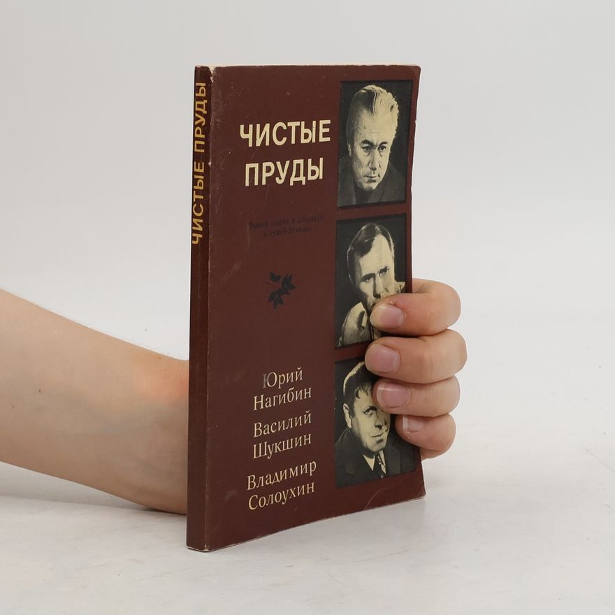 Vladimir Solouchin Чистые пруды