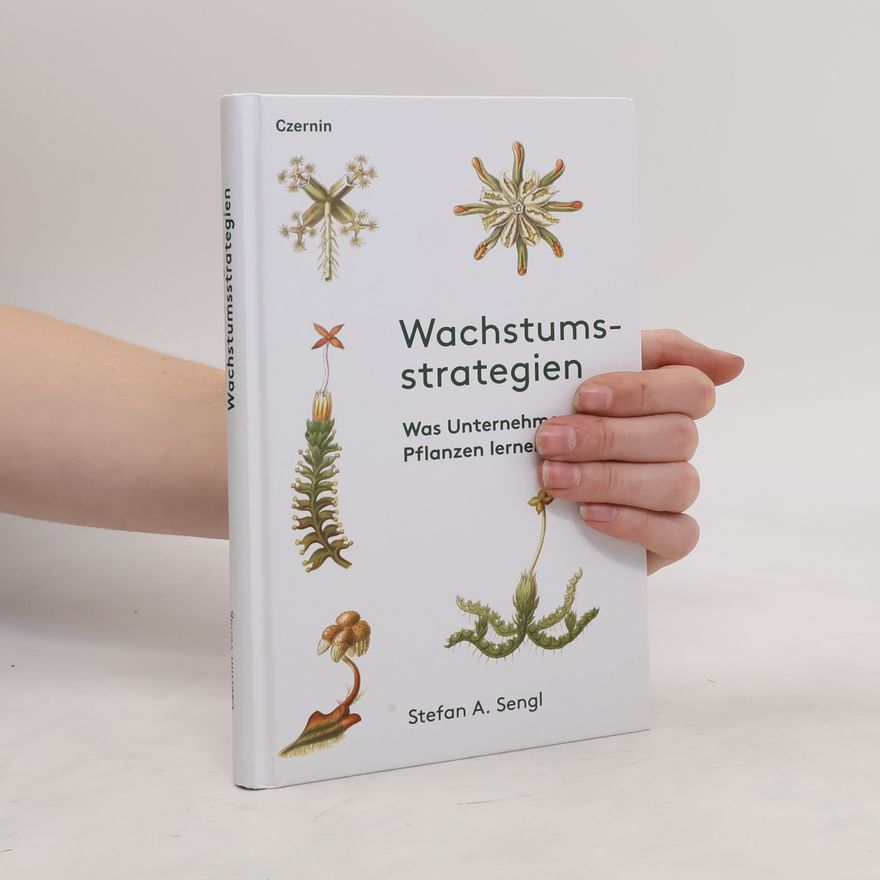 Stefan A. Sengl Wachstumsstrategien