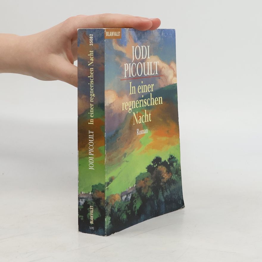 Jodi Picoult In einer regnerischen Nacht