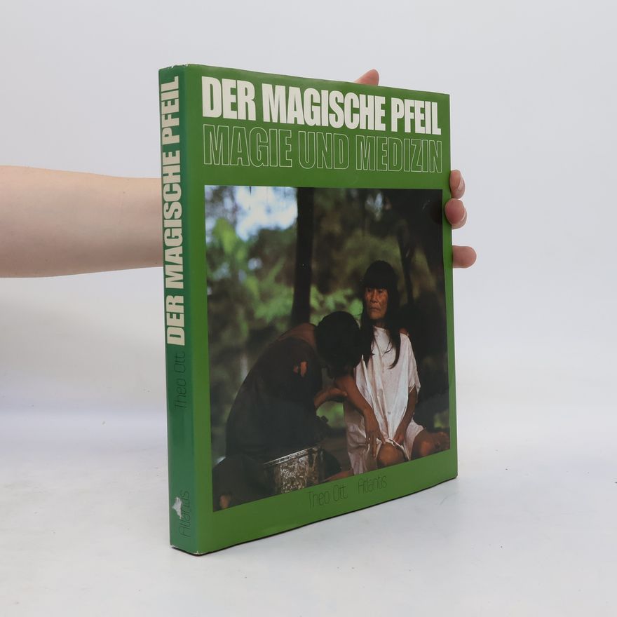 Theo Ott Der magische Pfeil