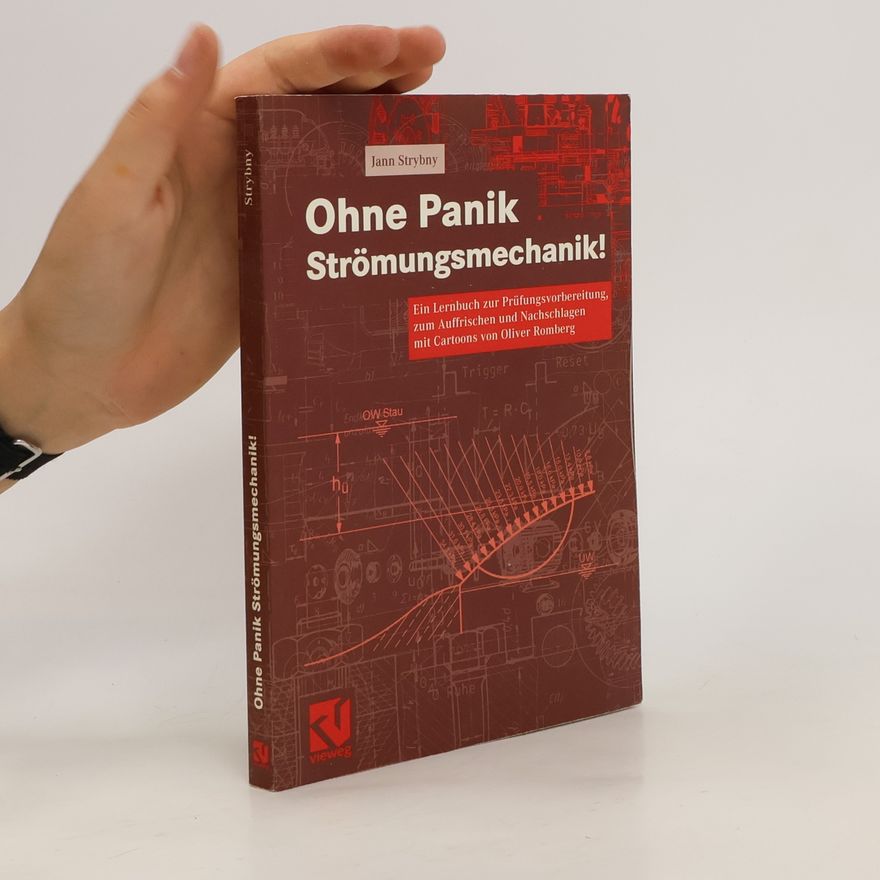 Jann Strybny Ohne Panik Strömungsmechanik!