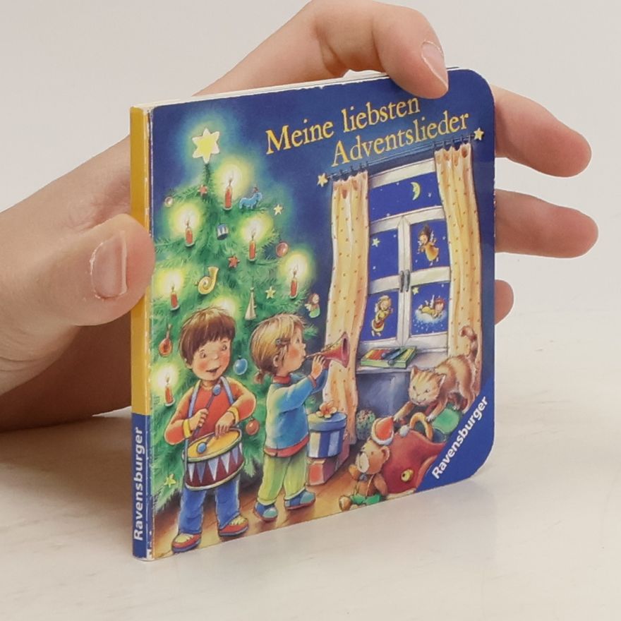 Kolektiv autorů Meine liebsten Adventslieder