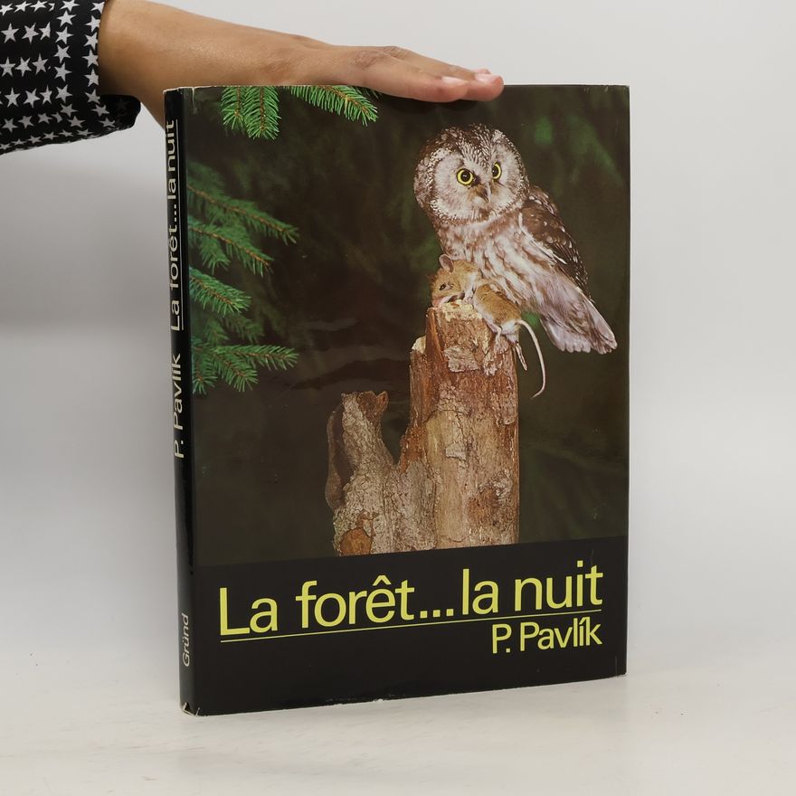 P. Pavlík La forêt...la nuit