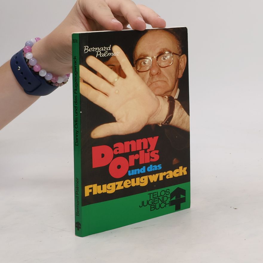 Bernard Palmer Danny Orlis und das Flugzeugwrack