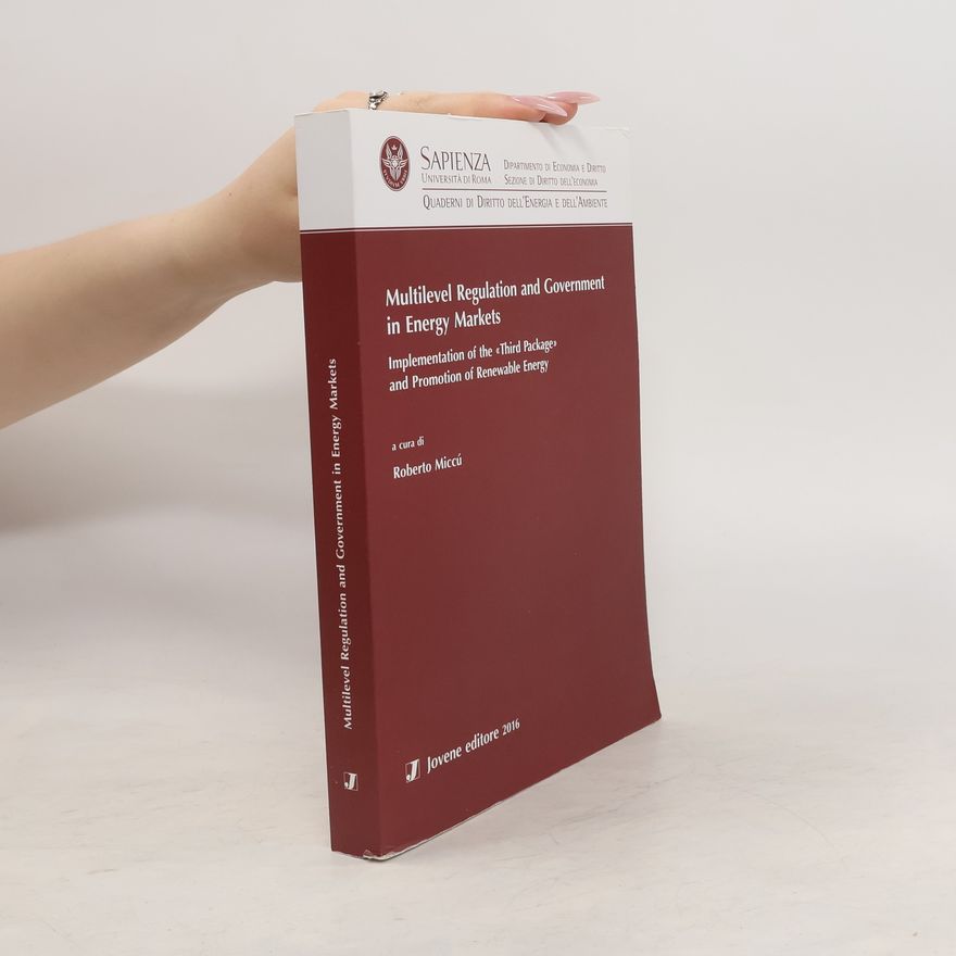 Roberto Miccú Multilevel Regulation and Government in Energy Markets