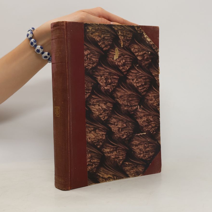 Heinrich Zimmer Die romanischen Literaturen und Sprachen mit Einschluss des Keltischen