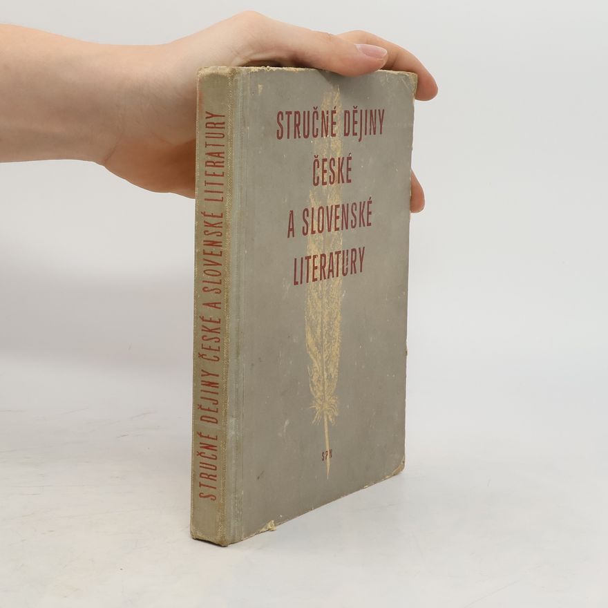 Autorenkollektiv Stručné dějiny české a slovenské literatury