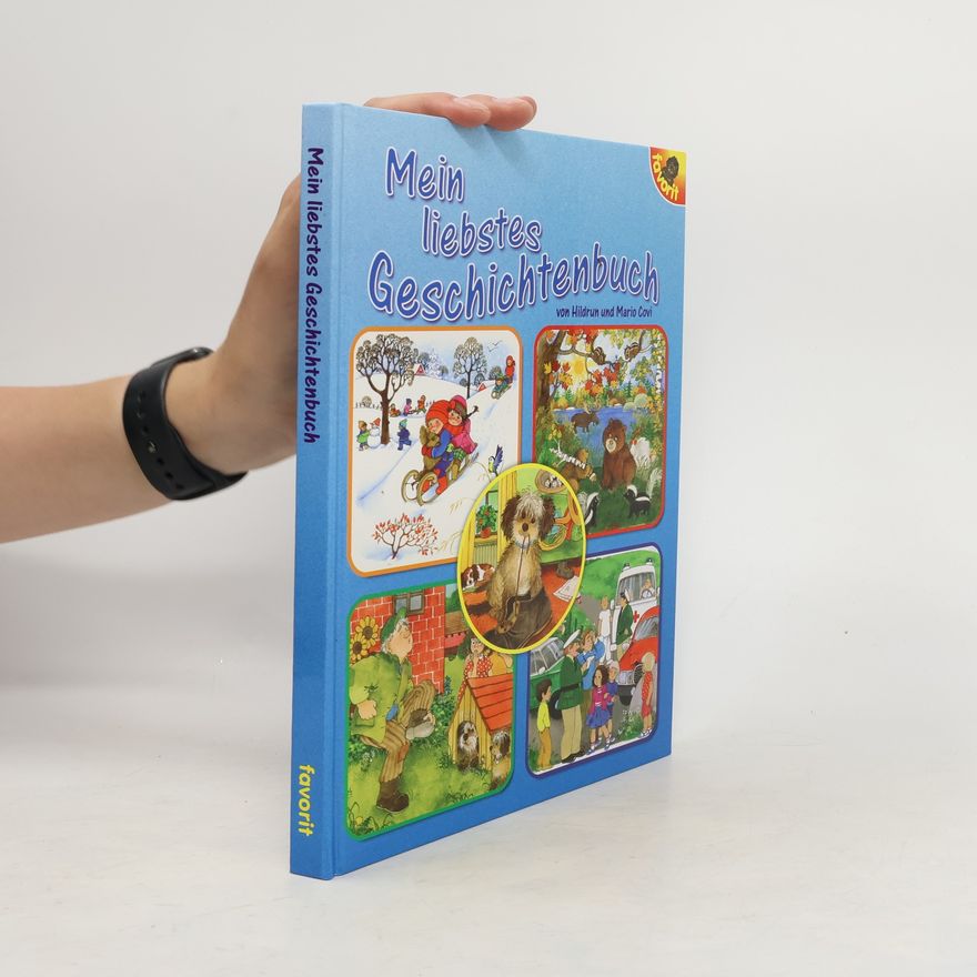 Kolektiv autorů Mein liebstes Geschichtenbuch