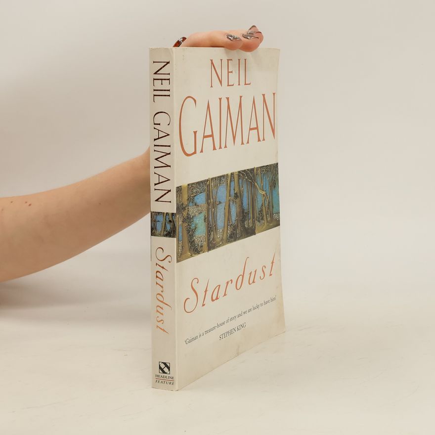 Neil Gaiman Stardust