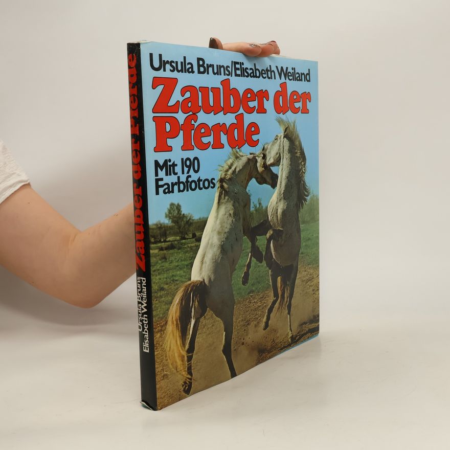 Autorenkollektiv Zauber der Pferde