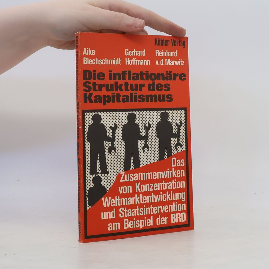 Aike Blechschmidt Die inflationäre Struktur des Kapitalismus