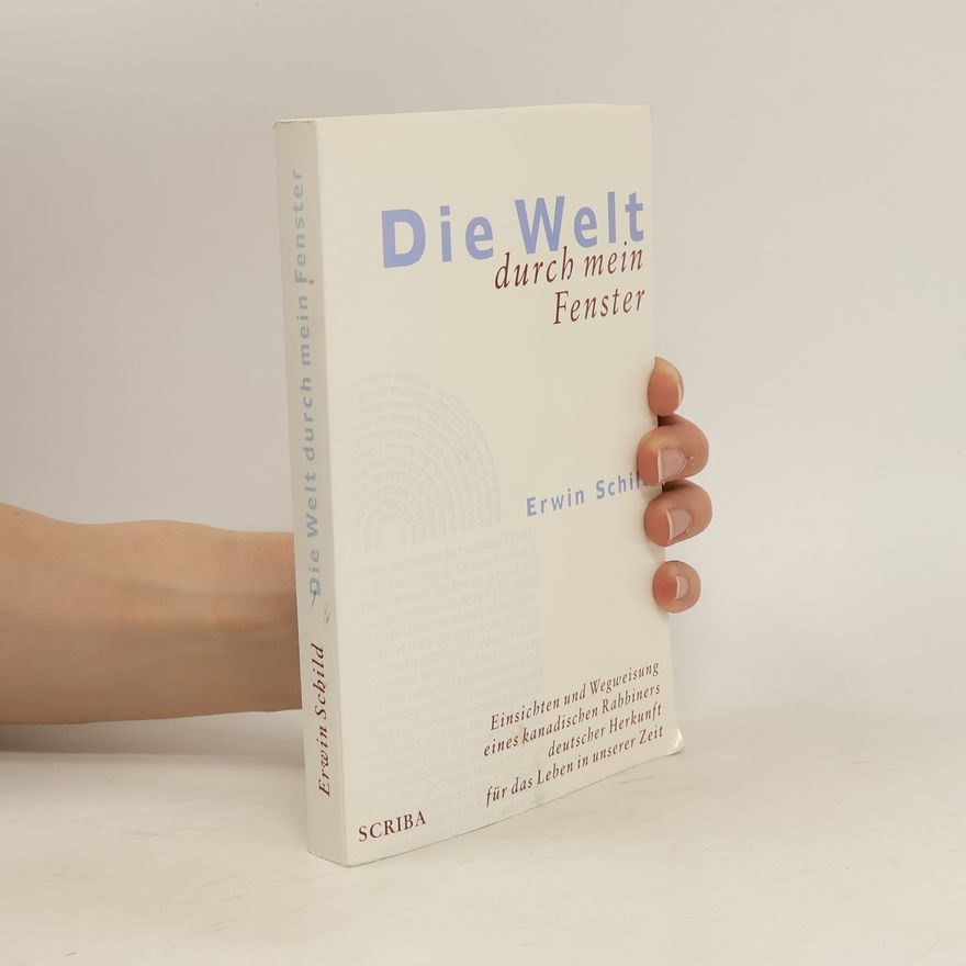 Erwin Schild Die Welt durch mein Fenster