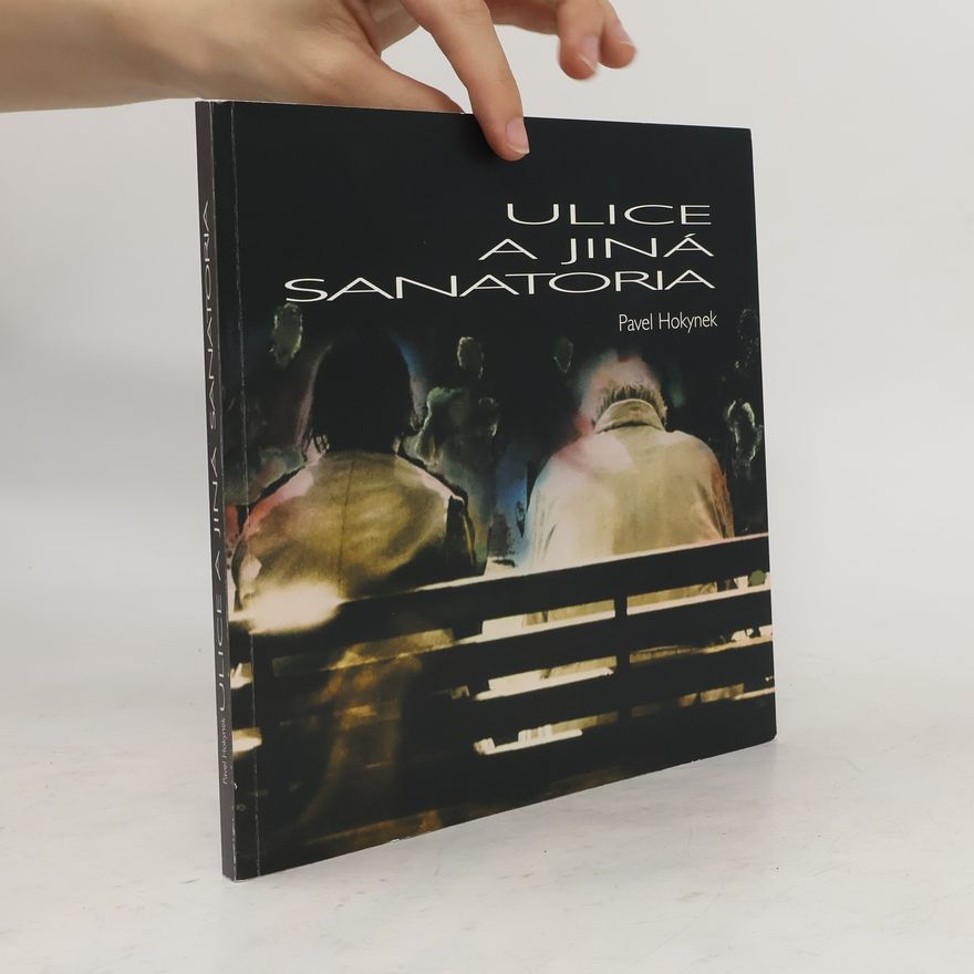 Pavel Hokynek Ulice a jiná sanatoria = Streets and other sanatoria