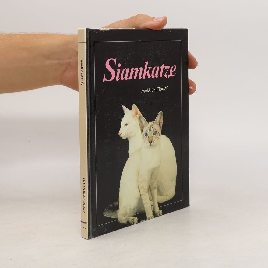 Maia Beltrame Siamkatze