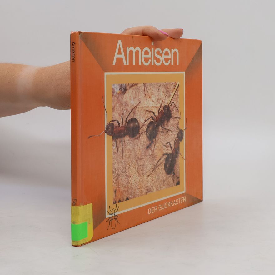Jan avan dea Kam Ameisen