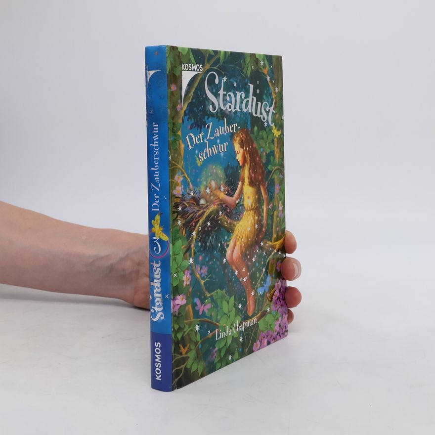 Linda Champan Stardust. Der Zauberschwur