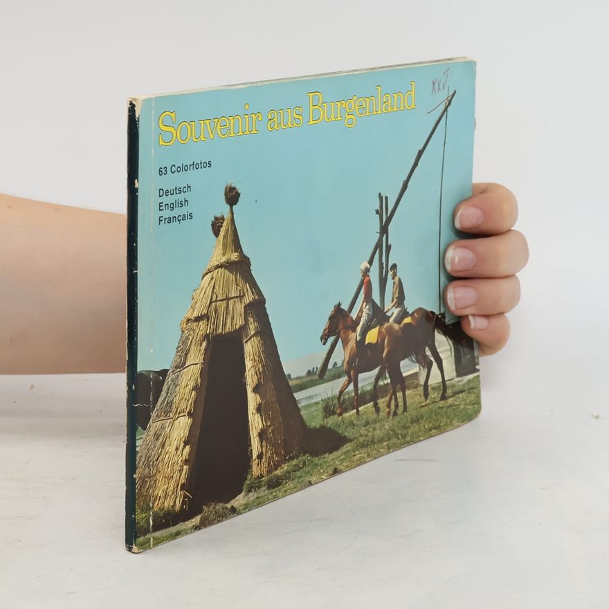 Kolektiv autorů Souvenir aus Burgenland