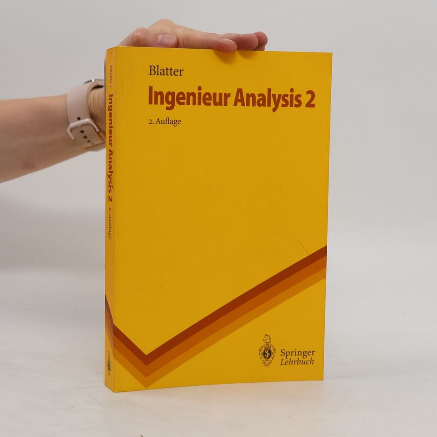 Christian Blatter Ingenieur Analysis 2