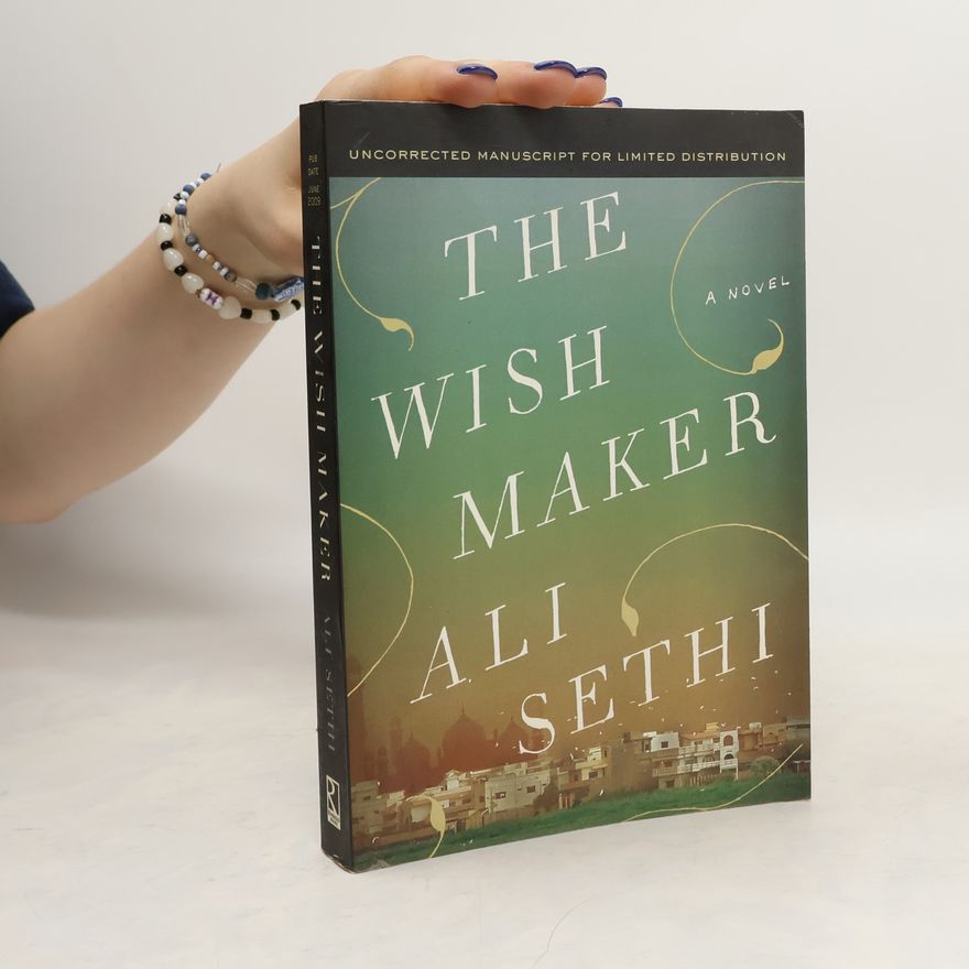 Ali Sethi The Wish Maker