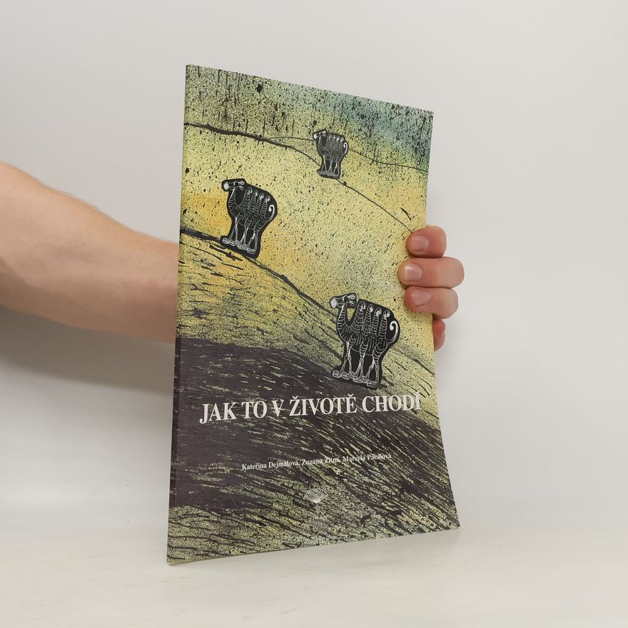 Kolektiv autorů Jak to v životě chodí II