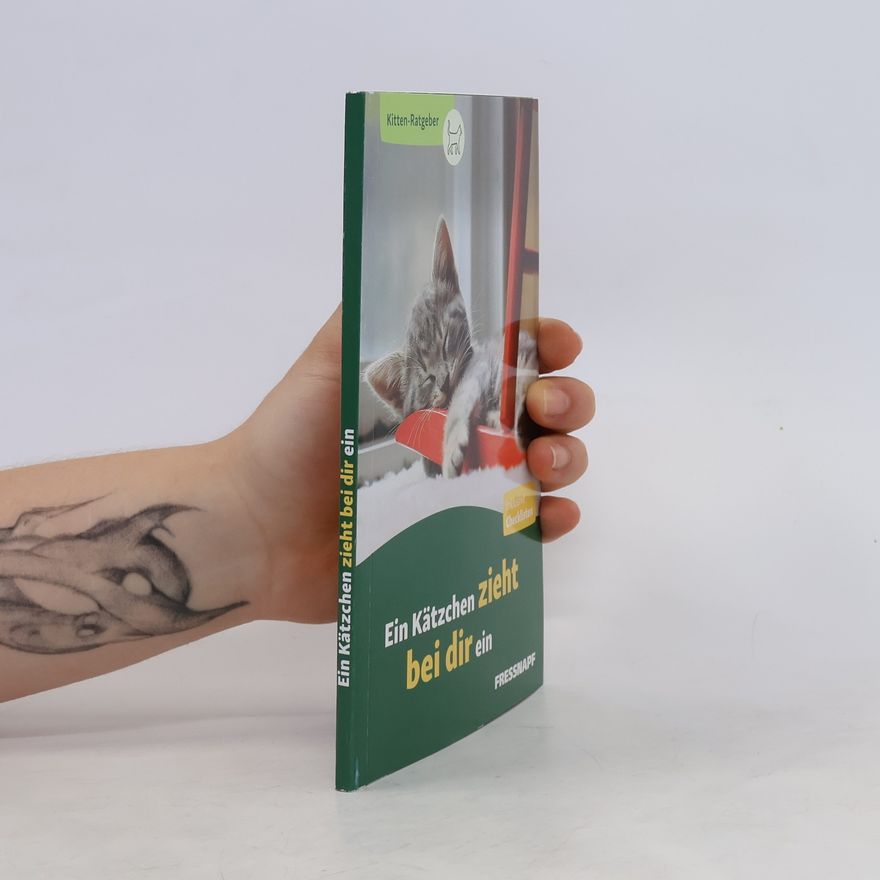 Autorenkollektiv Ein kätzchen zieht bei dir ein