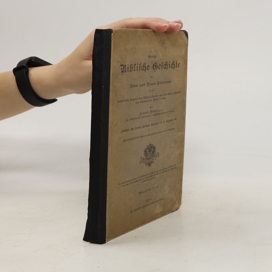Johann Panholzer Große Biblische Geschichte