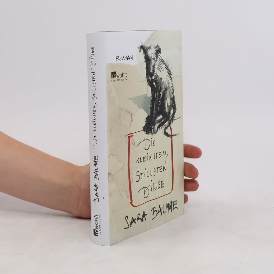Sara Baume Die kleinsten, stillsten Dinge