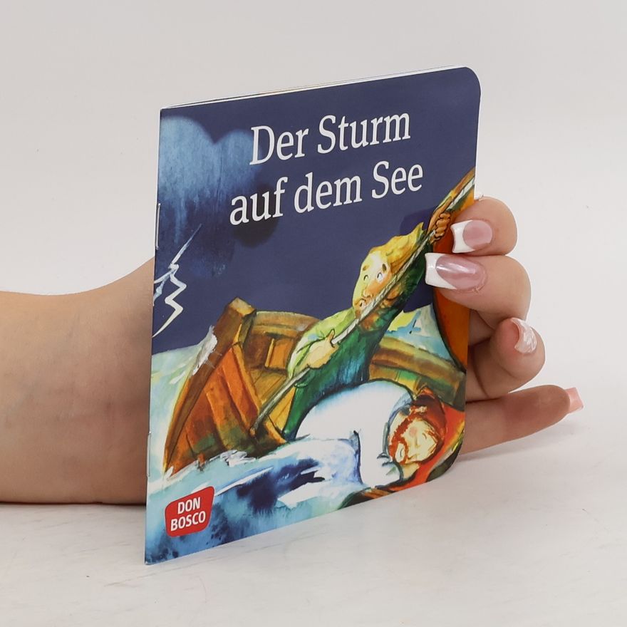 Susanne Brandt Der Sturm auf dem See