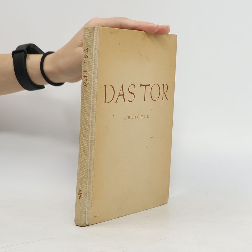 Kolektiv autorů Das Tor