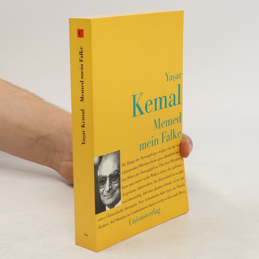 Yaşar Kemal Memed mein Falke