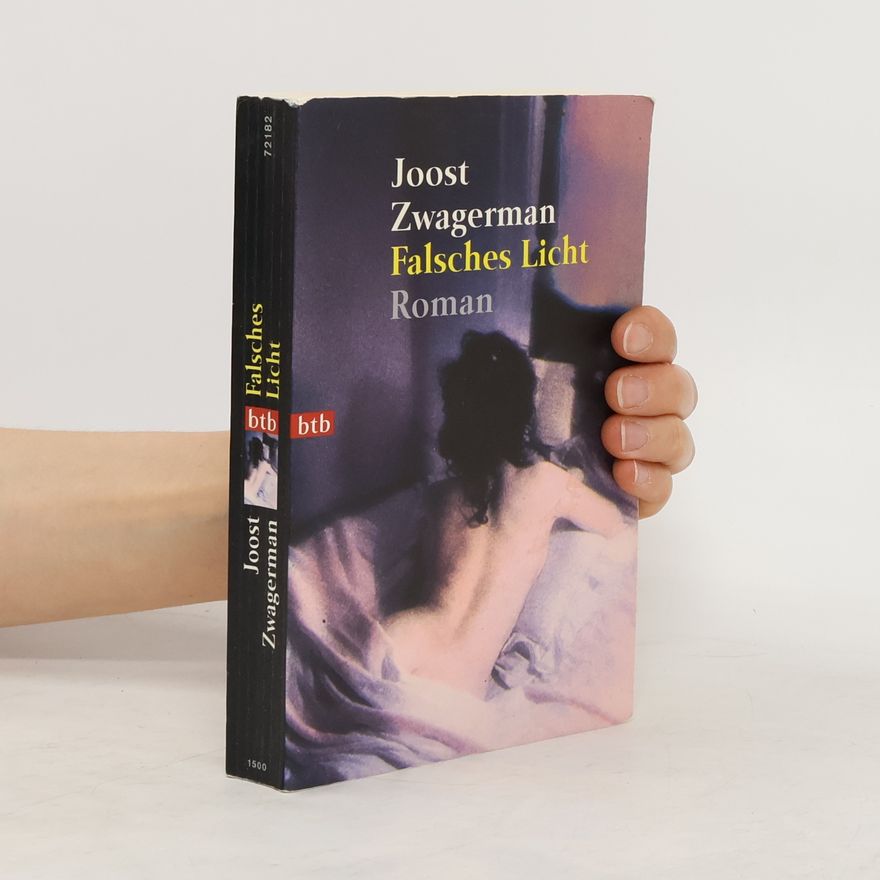 Joost Zwagerman Falsches Licht
