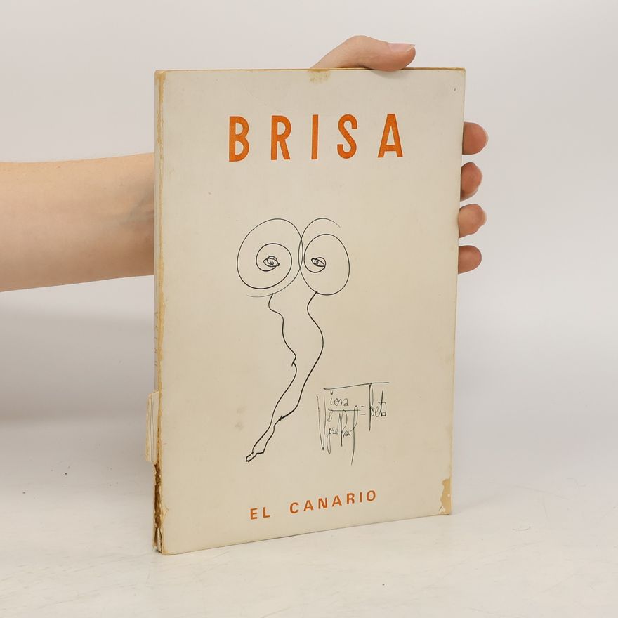 José Raul Viera Brisa