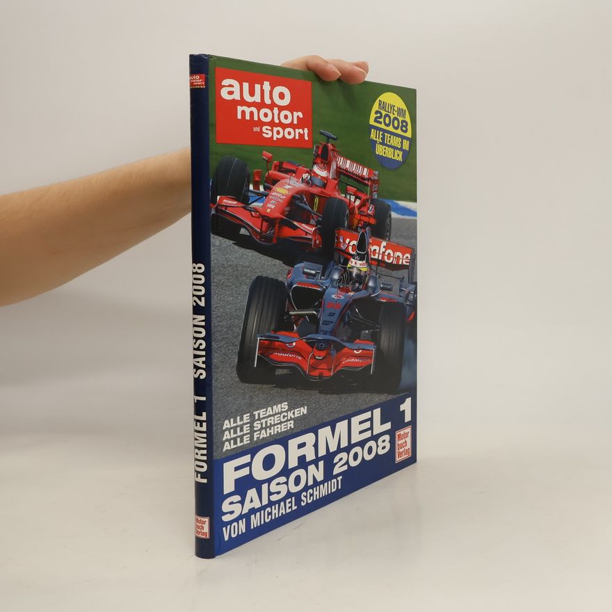Michael D. F. Schmidt Formel 1. Saison 2008