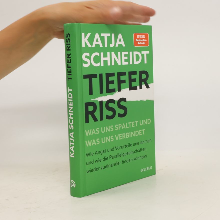 Katja Schneidt Tiefer Riss - Was uns spaltet und was uns verbindet