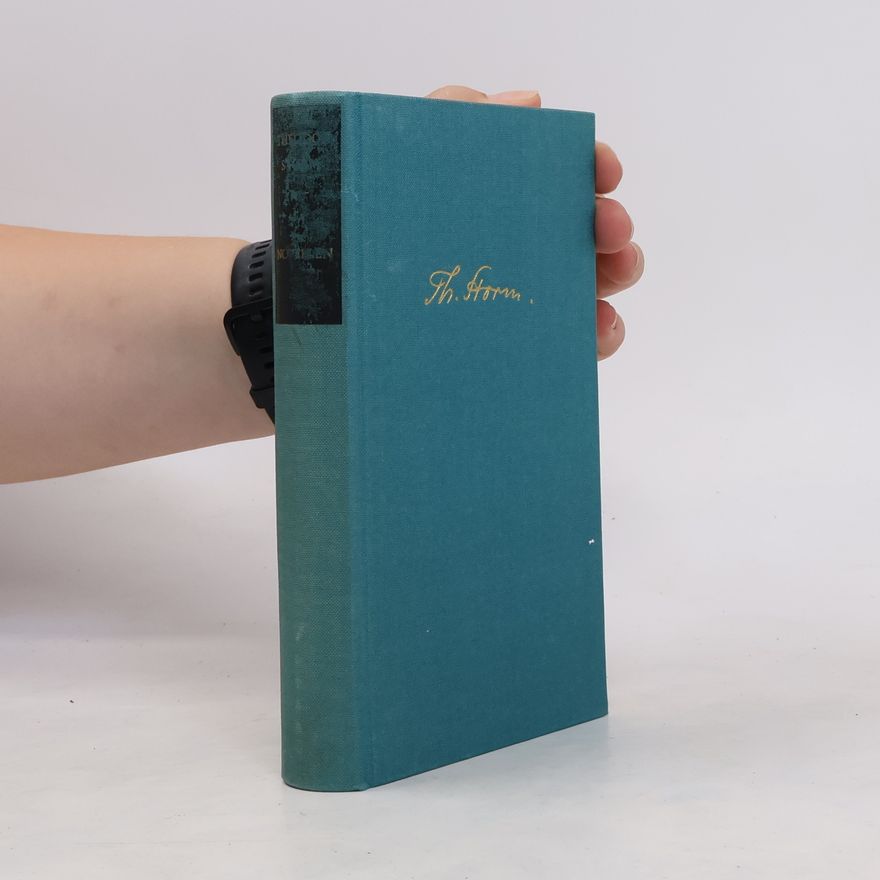 Theodor Strom Werke, Novellen II. Band