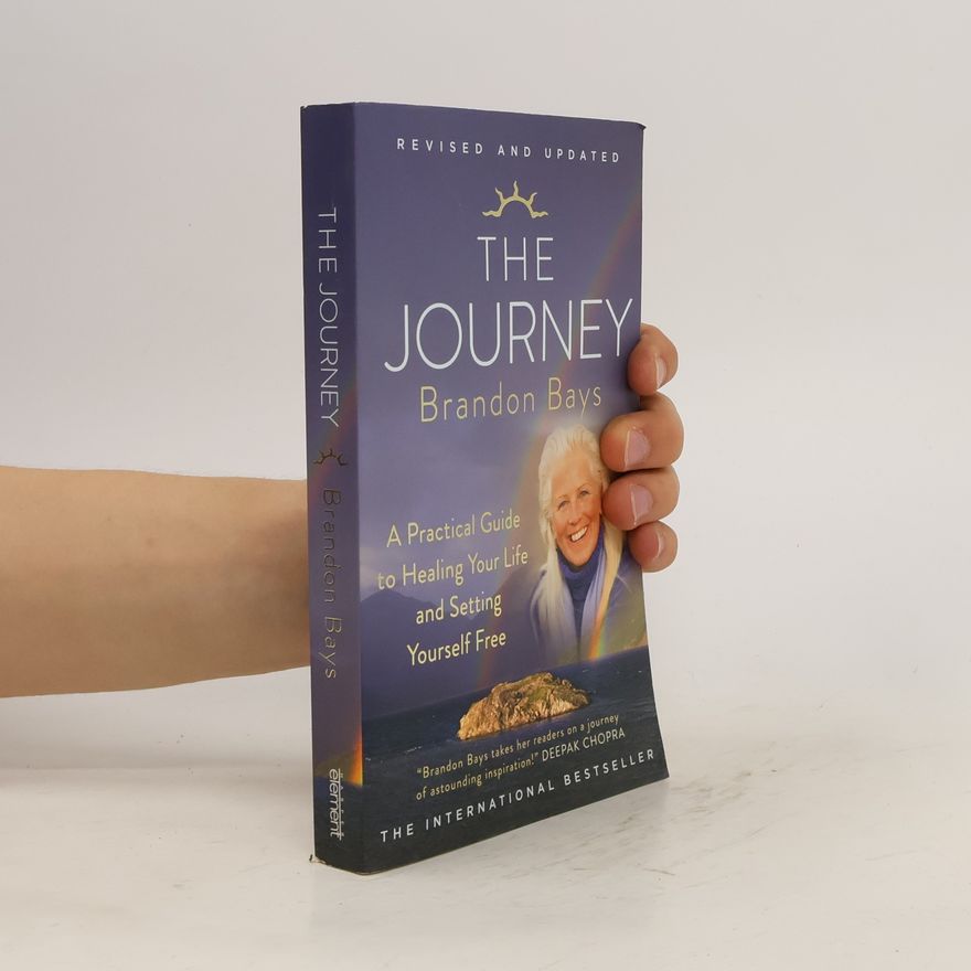 Brandon Bays The Journey
