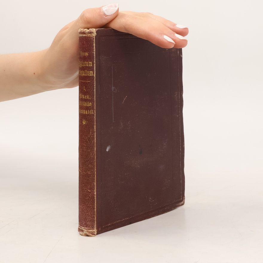 Hermann Leberecht Strack Hebräische Grammatik