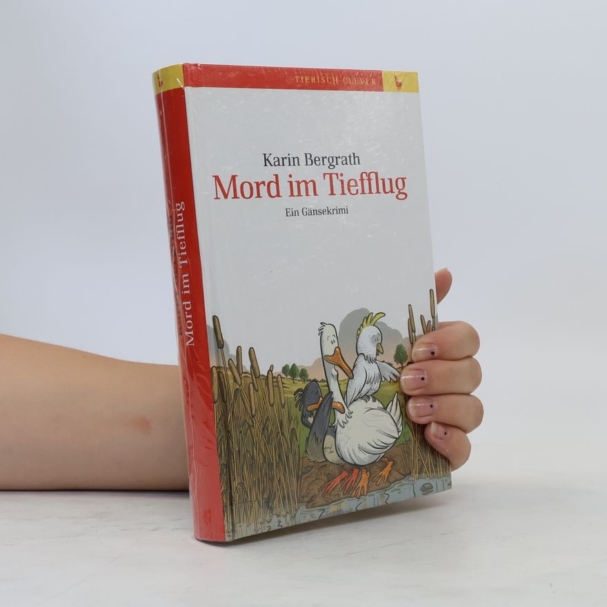 Karin Bergrath Mord im Tiefflug