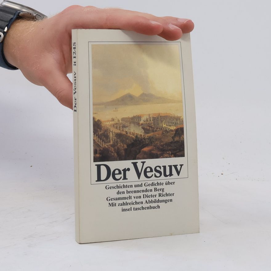 Dieter Richter Der Vesuv