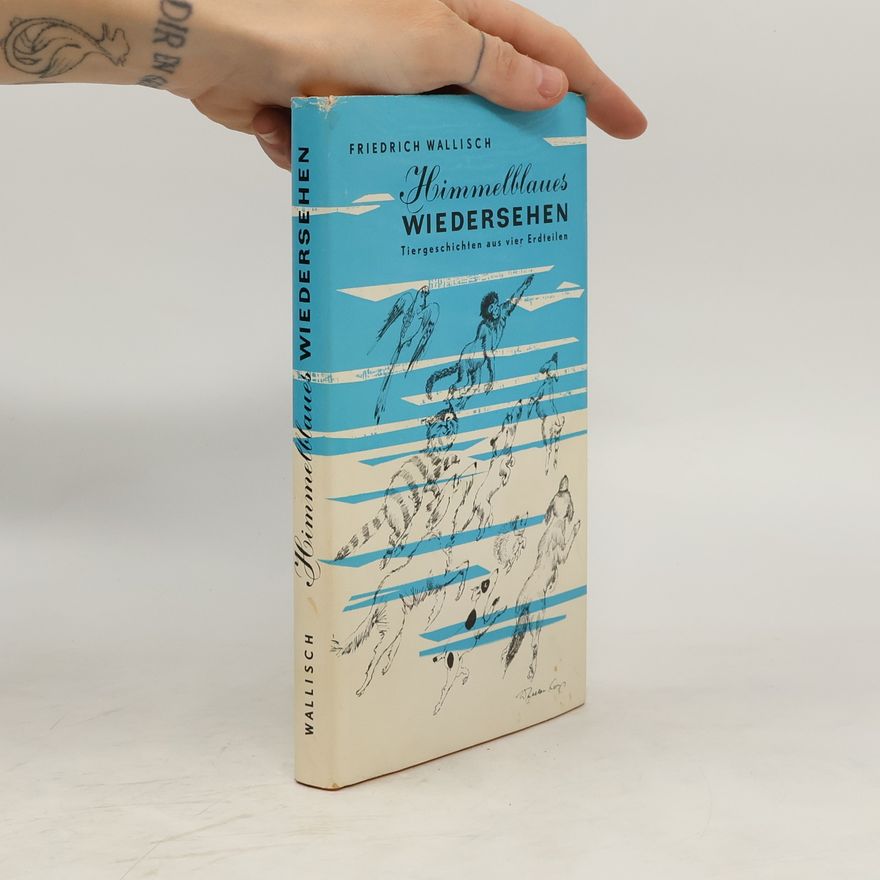 Friedrich Wallisch Himmelblaues Wiedersehen