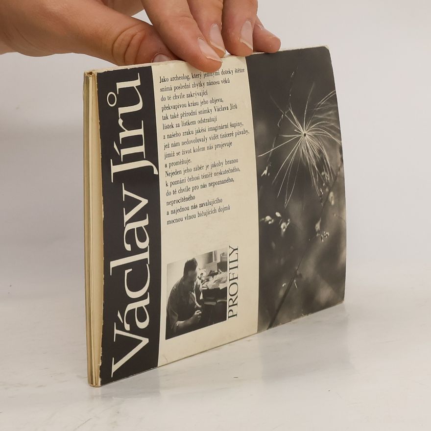 Autorenkollektiv Václav Jírů: Soubor 12 pohlednic Václava Jírů