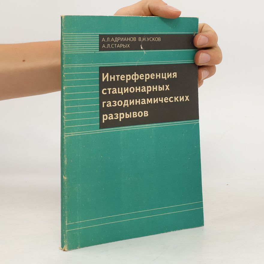 Kolektiv autorů Интерференция стационарных газодинамических разрывов
