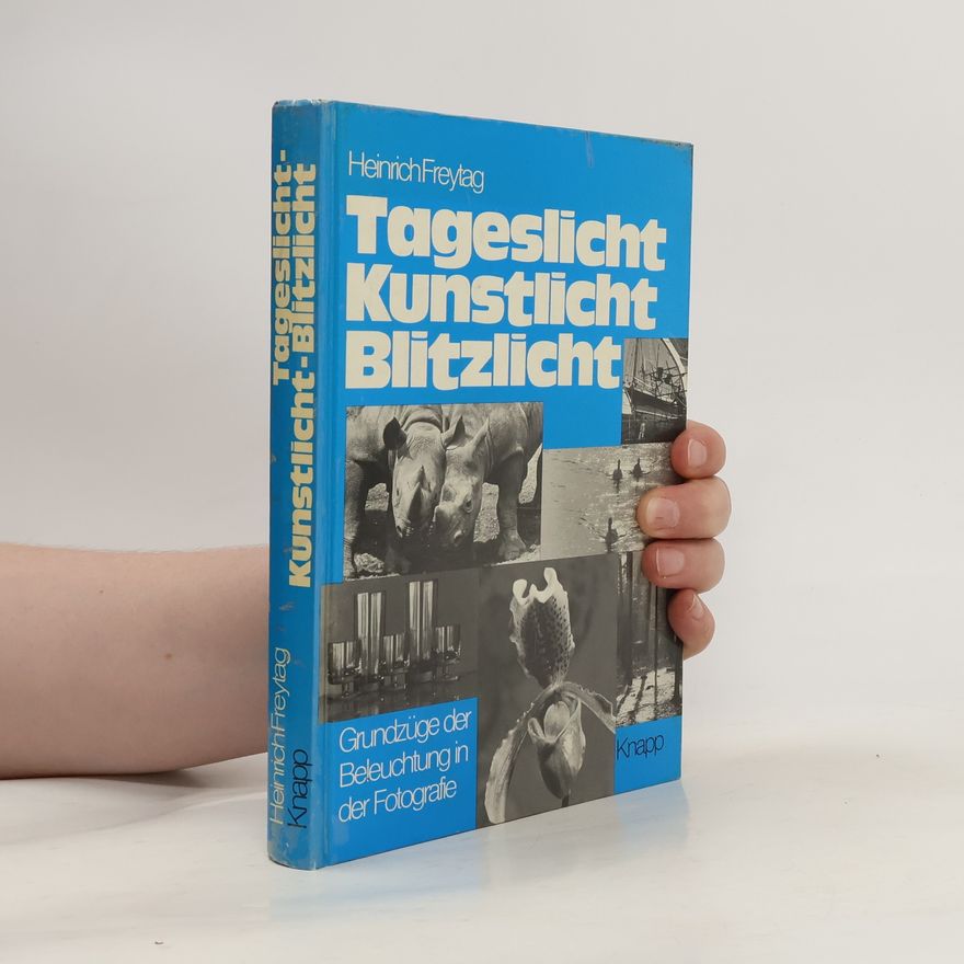 Heinrich Freytag Tageslicht, Kunstlicht, Blitzlicht