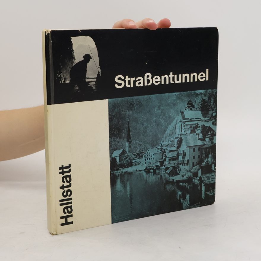 Autorenkollektiv Straßentunnel Hallstatt