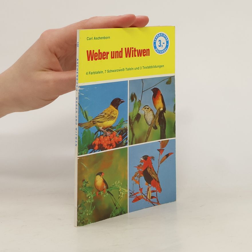 Carl Aschenborn Weber und Witwen